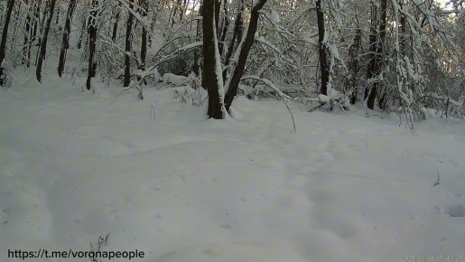 ���� ����������� �� �������� � ����������� �����������