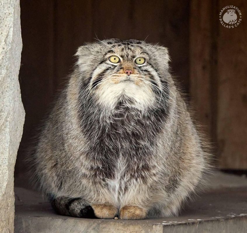 ������ ����� �� �����, �����, ��� ������ ��� ������, � ���� �����