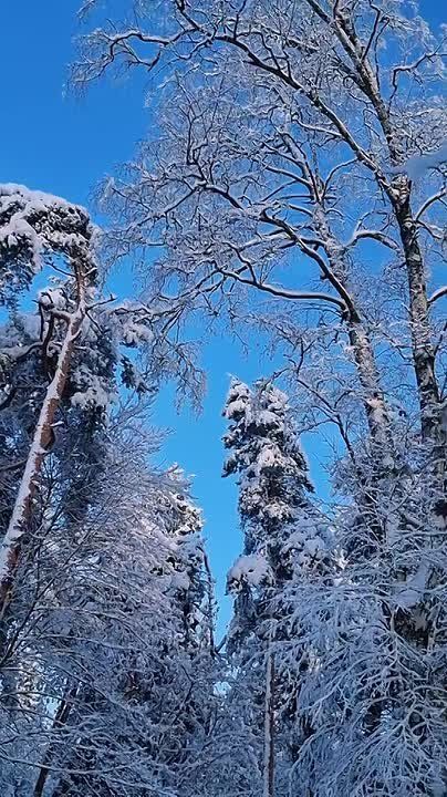 ������ �������� ���������