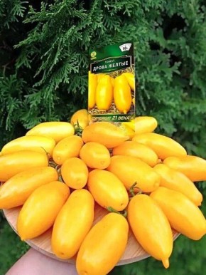 ����� ����� ������: ��� ��������� ����� � ������� ���������� ��������� �����������