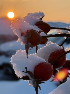 �������� ������!. ���� ����/�� "�������� ������"