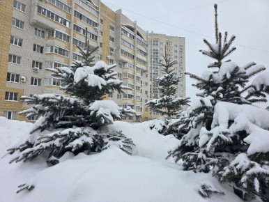 ������ ����, ������!. � �������, 12 �������, ��������� ���������� ����������