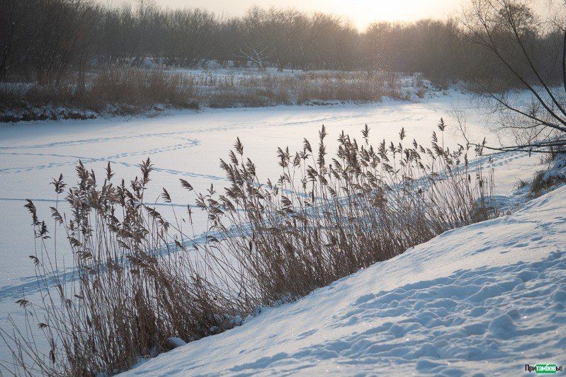 � ���������� ������� ��������� � ��������� ��������� �������