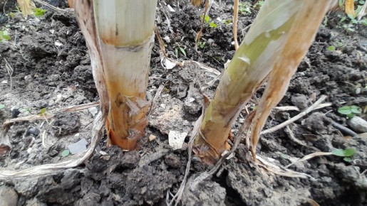 �������� ��������� ����: ������� ��� �������� � ��������� ������