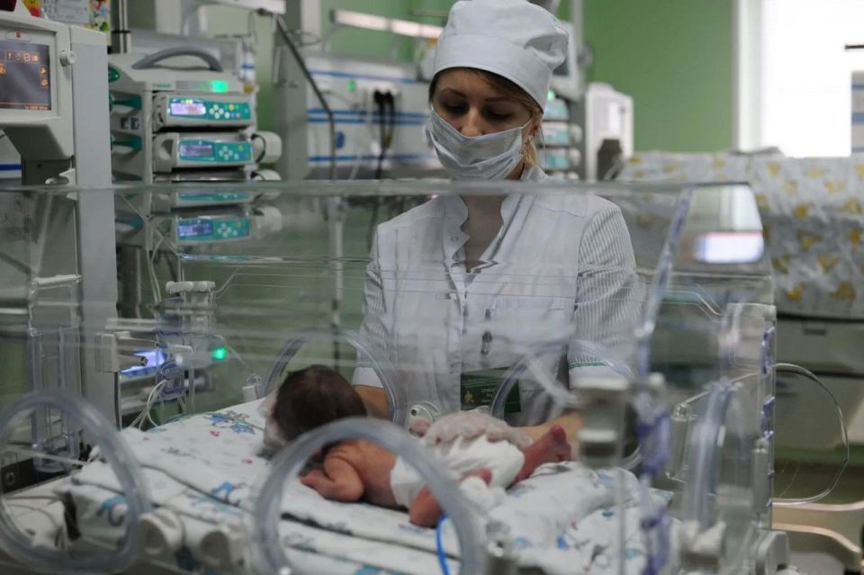 ���������� ������ ������������ � ������������ ���������������� ����� � ����� ���������� ��� ��������������� ��������, ������� �������� 12 �������