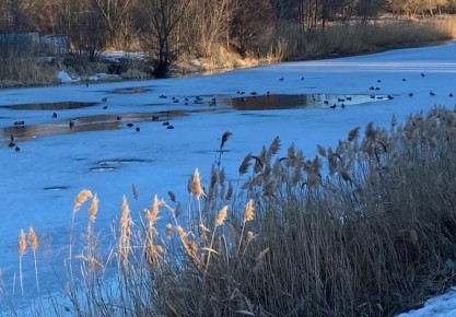 � ���������� ������� ��������� � �������� ��������� �������