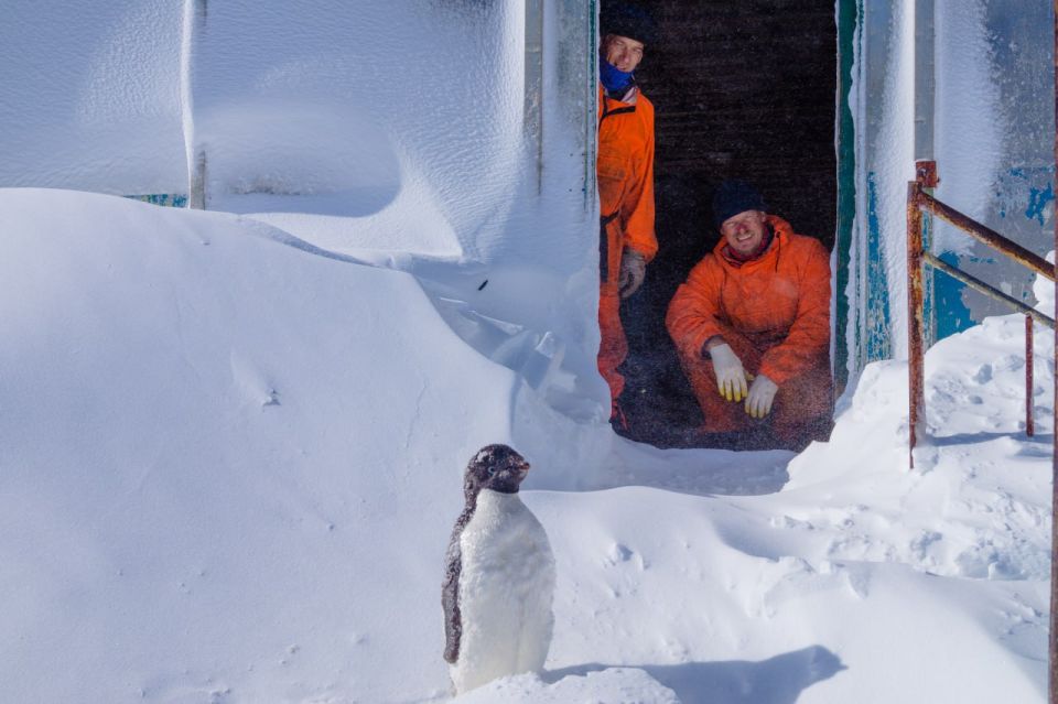 13 ������� 1956 ���� ������� ������ ��������� �������������� ������� �������