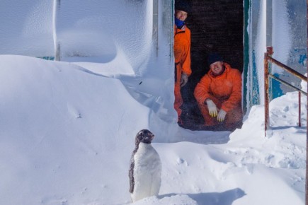 13 ������� 1956 ���� ������� ������ ��������� �������������� ������� �������