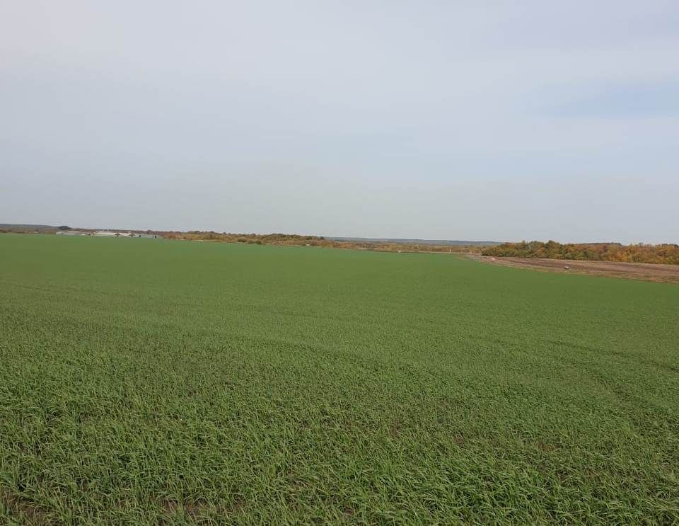 � ���������� ������� ������� ���������� ��������� ������� ������ �������