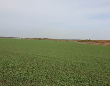 � ���������� ������� ������� ���������� ��������� ������� ������ �������