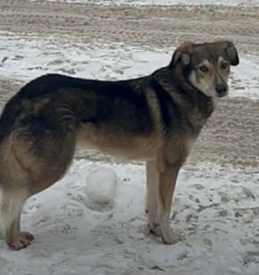 ���� �����: ������ ���� ���