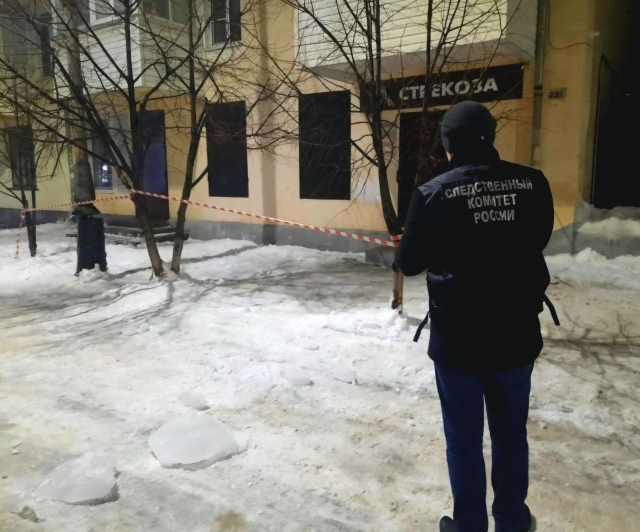 Следственный комитет возбудил уголовное дело по факту травмирования девушки в Мичуринске Следственный комитет возбудил уголовное дело по факту травмирования девушки в Мичуринске