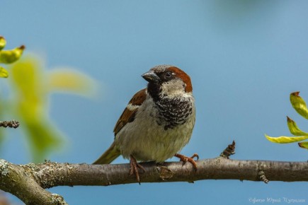 ���� � ������� � ��� �� ������ �������, ����� ����� � ������ ���, ��� �������, �� � ��������� ������ �����