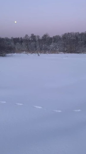 �������� ���� �� ������. ������� ������ ���� � ��� �� ������ ������