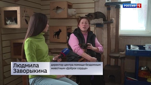 ����� ����������� ������� ����� ����� �������� � ������ ������� ������ ��������� ���� ���� �����