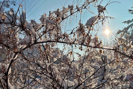 ���� � ����� ������� ���������� ������� ����� ��������� ������ �����������