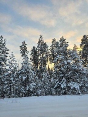 �������� � �����: ��������� � ������ �� �������� � ���������� �������