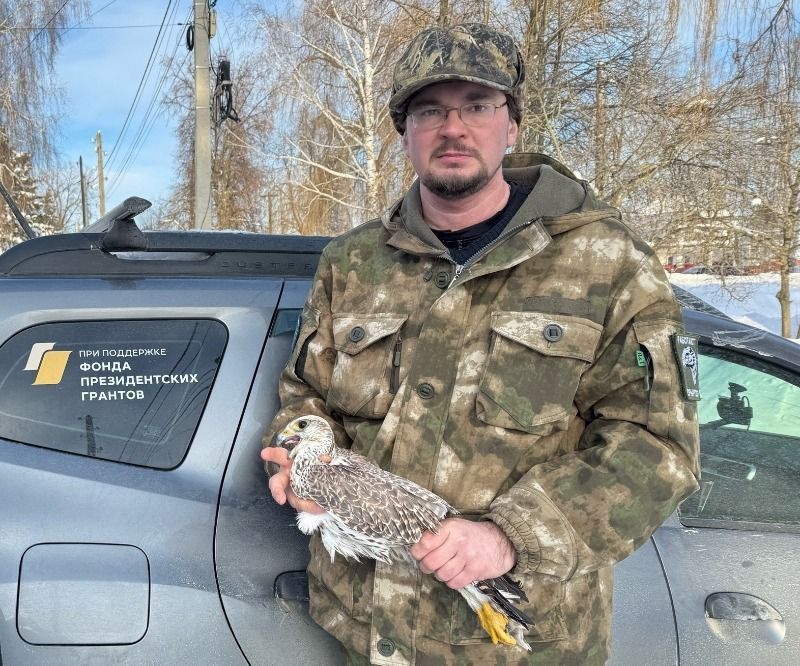 ������� �� 50 ��� � ���������� ������� ����� ������ ��������