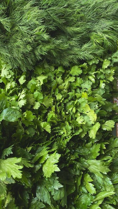 ��� ���������� ���������� ������� ����� �� ������ ��������