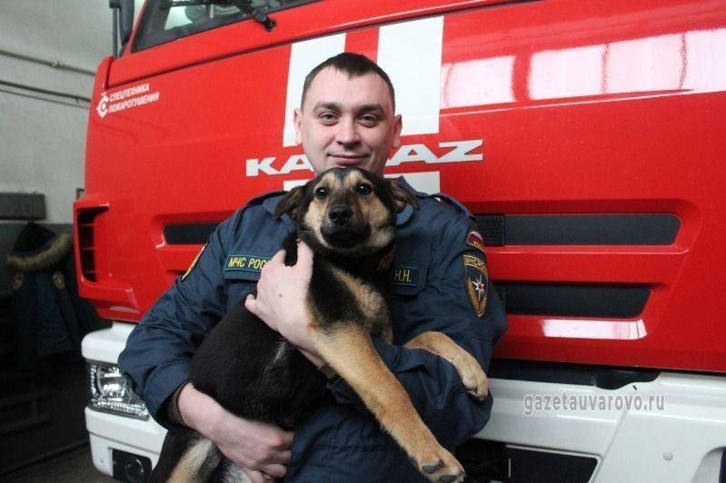 В Уварове за порядком в пожарной части следит собака по кличке Жуля