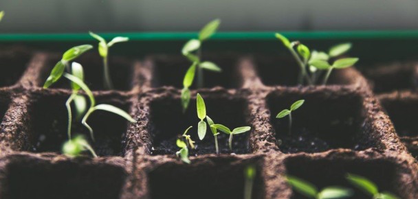 ��� ������� ���������� ������� ��� �������, ���������� ����������� ����������������