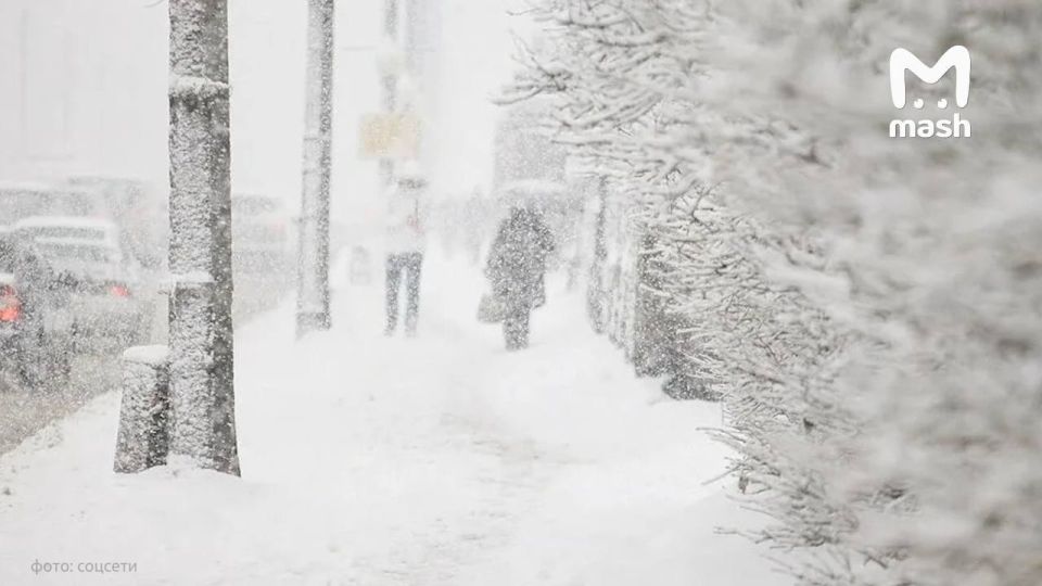 ������ �������� ��������� �� ����������� ����� ������ �� �������� ������