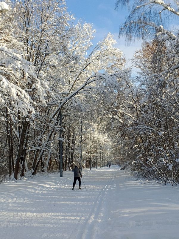 Воскресный парк. Эмма Козырева