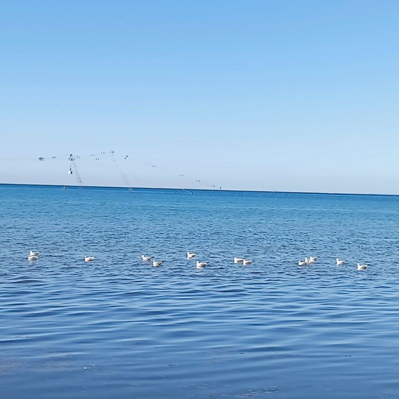 ������� �� ������� ���������: ������ �� ������� �����������