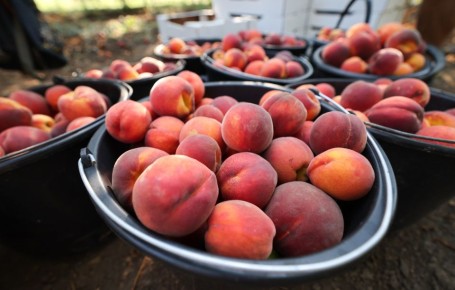 ��������: ������� �� ��� ����� ������?