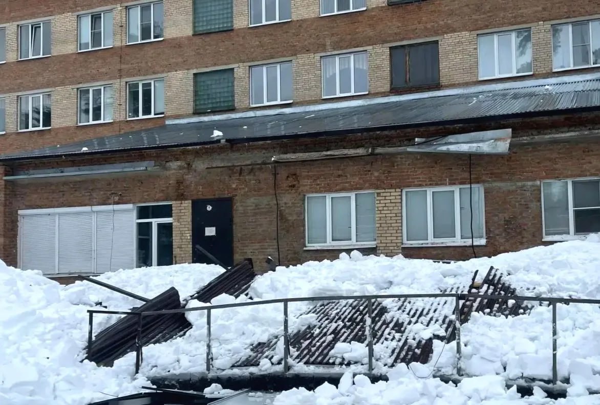 Пост добра: Альф ищет дом. Альф - пёс с непростой судьбой Пост добра: Альф ищет дом. Альф - пёс с непростой судьбой