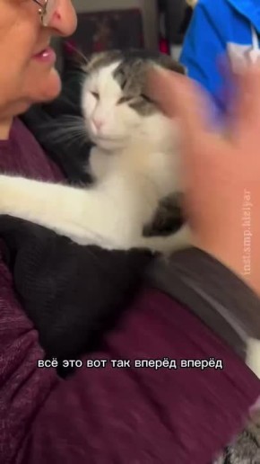 Котик из Дагестана стал звездой соцсетей