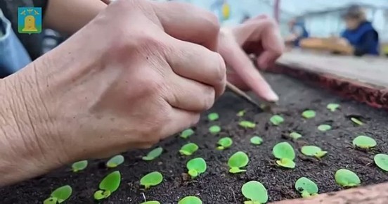 � �������� �������� ��������������� ����� �������� ����������