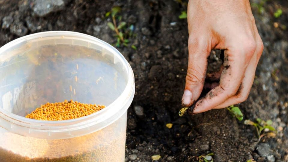 ��� �������� �����: ������������ �������� ��� �������� ������