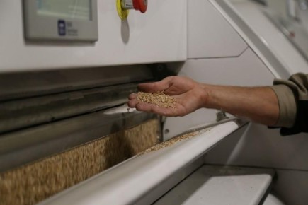 Тамбовская область заняла второе место в России по производству муки