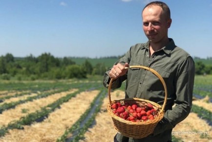 Фермер из Притамбовья осваивает советскую технологию выращивания земляники