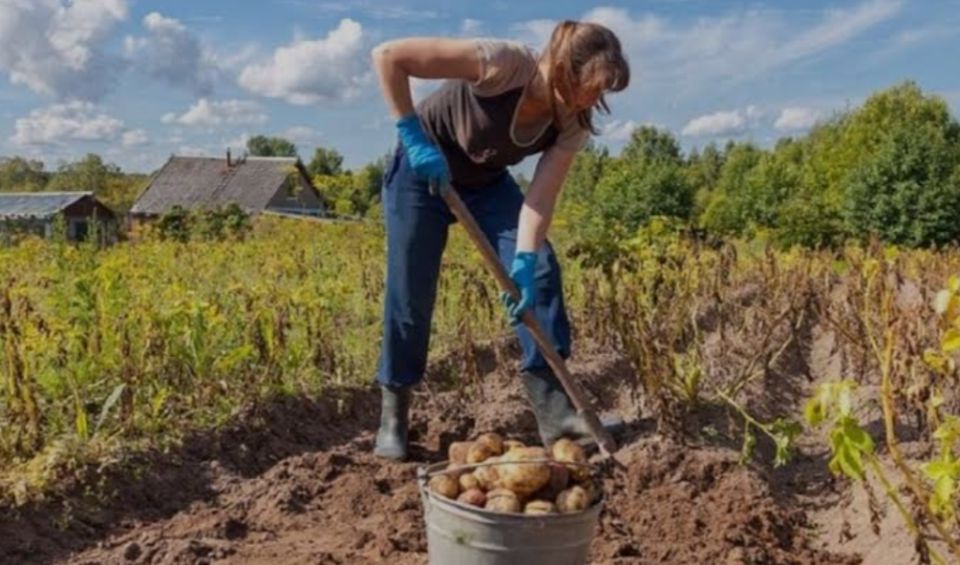 ����� ����� ������ ���������? �������� ������