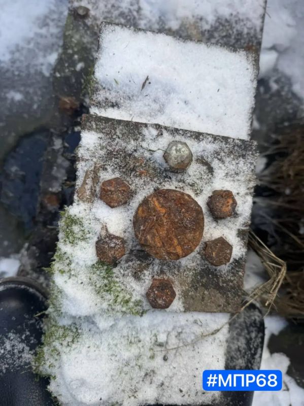 � ���������� ������ ������� �������� ����������������� ������� ����� �� ����� ������