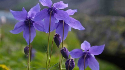 ����� ��� ������ �����: 10 ��������, ������� ������ ���� ��� ������ �����