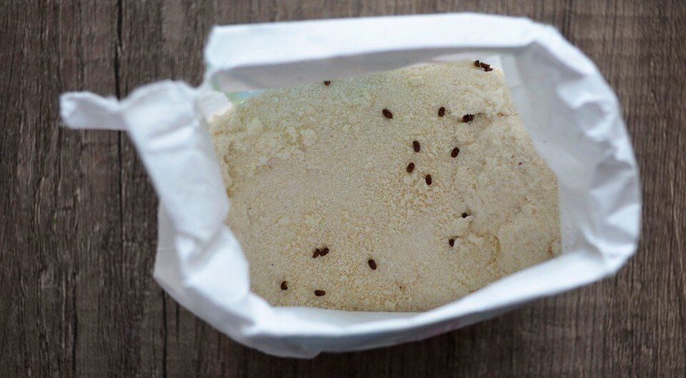 ��� ���������� � ������� � ����: �������� ������������