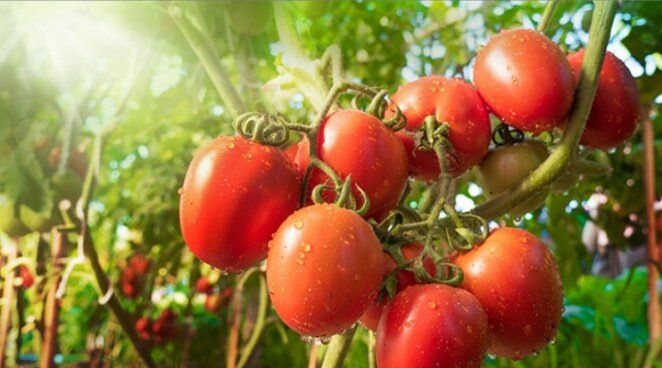 ��������� � �������: ������� ��� �������, ����� ������ ������?