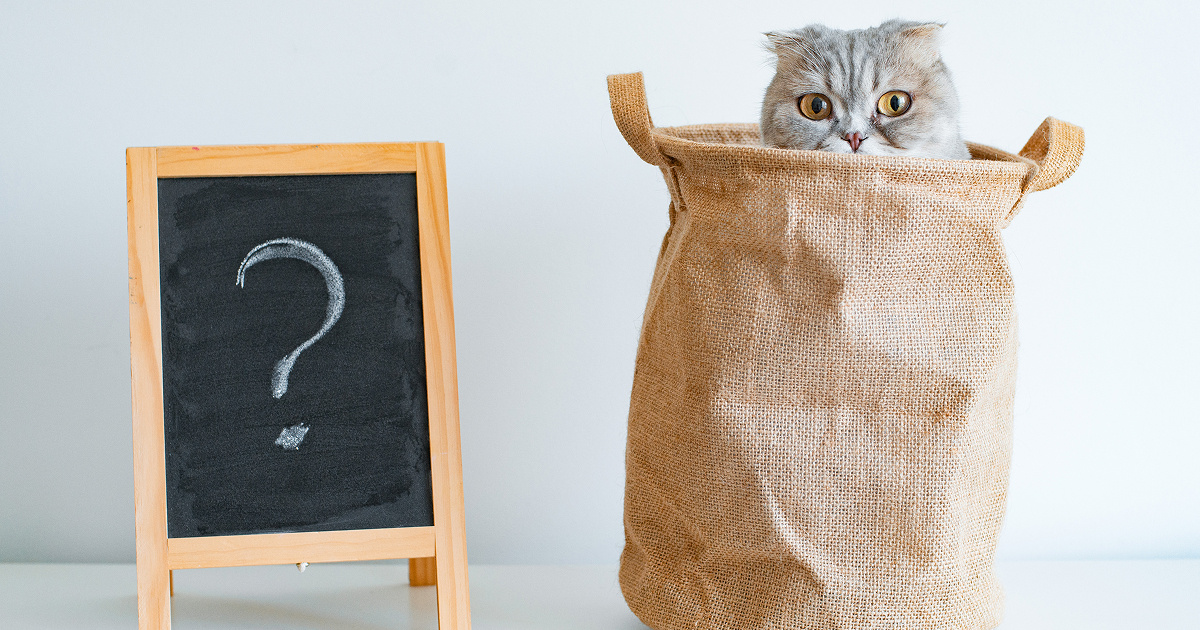 Годовой отчёт для УО и ТСЖ: новые правила от Ассоциации «Р1»