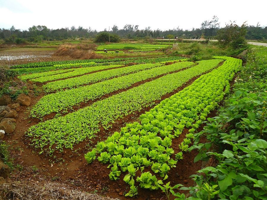 ��� ��������� ������� ����� ����� ��������� ��� ������