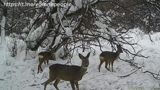 ������ ����� ������. ����� ������ �������� �������� ��������� � ����� ��������