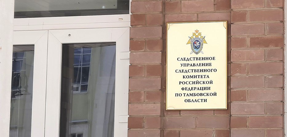 Жительница Котовска обвиняется в убийстве своего новорожденного ребенка