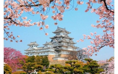 ��� 3D �������� � ������� ���������� ��� ��������