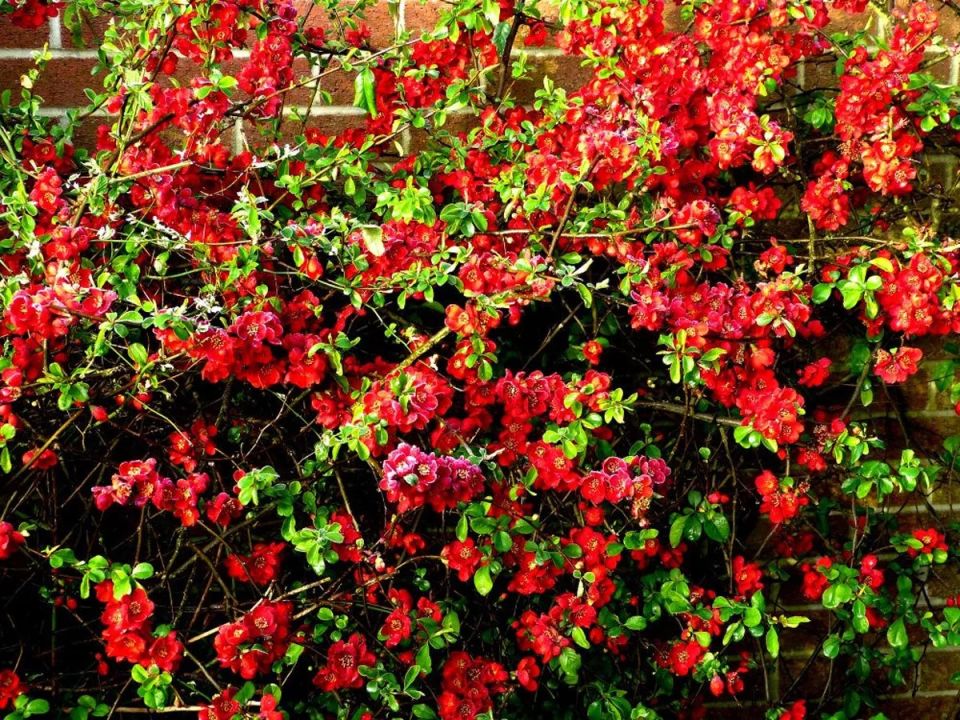 ��� ������� ����� �������� �� �������� ��������