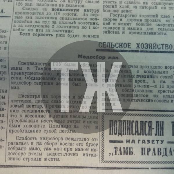 О массовом прогуле на Ново-Покровском сахарном заводе, реорганизации кассы взаимопомощи и ленивых пчелах «Тамбовская правда» писала сто лет назад О массовом прогуле на Ново-Покровском сахарном заводе, реорганизации кассы взаимопомощи и ленивых пчелах «Тамбовская правда» писала сто лет назад