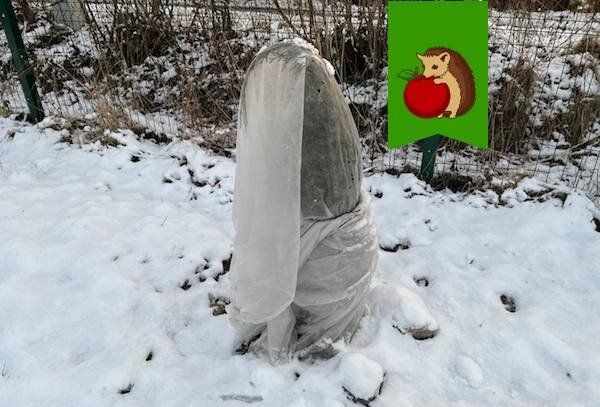 ��� ��������� �������� ��� �����: ������� ������