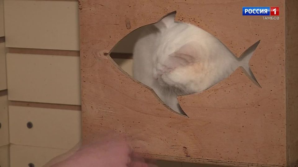 ������ ����� ����� ������������ ������� ����� �����, � ������� �� ������������ � ������� ����� �������