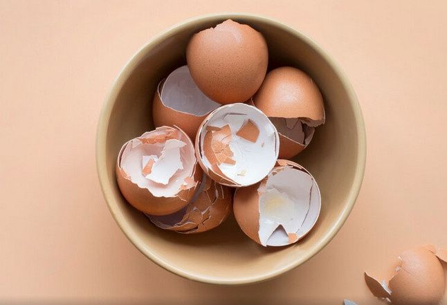 Как яичная скорлупа может стать вашим незаменимым помощником в быту